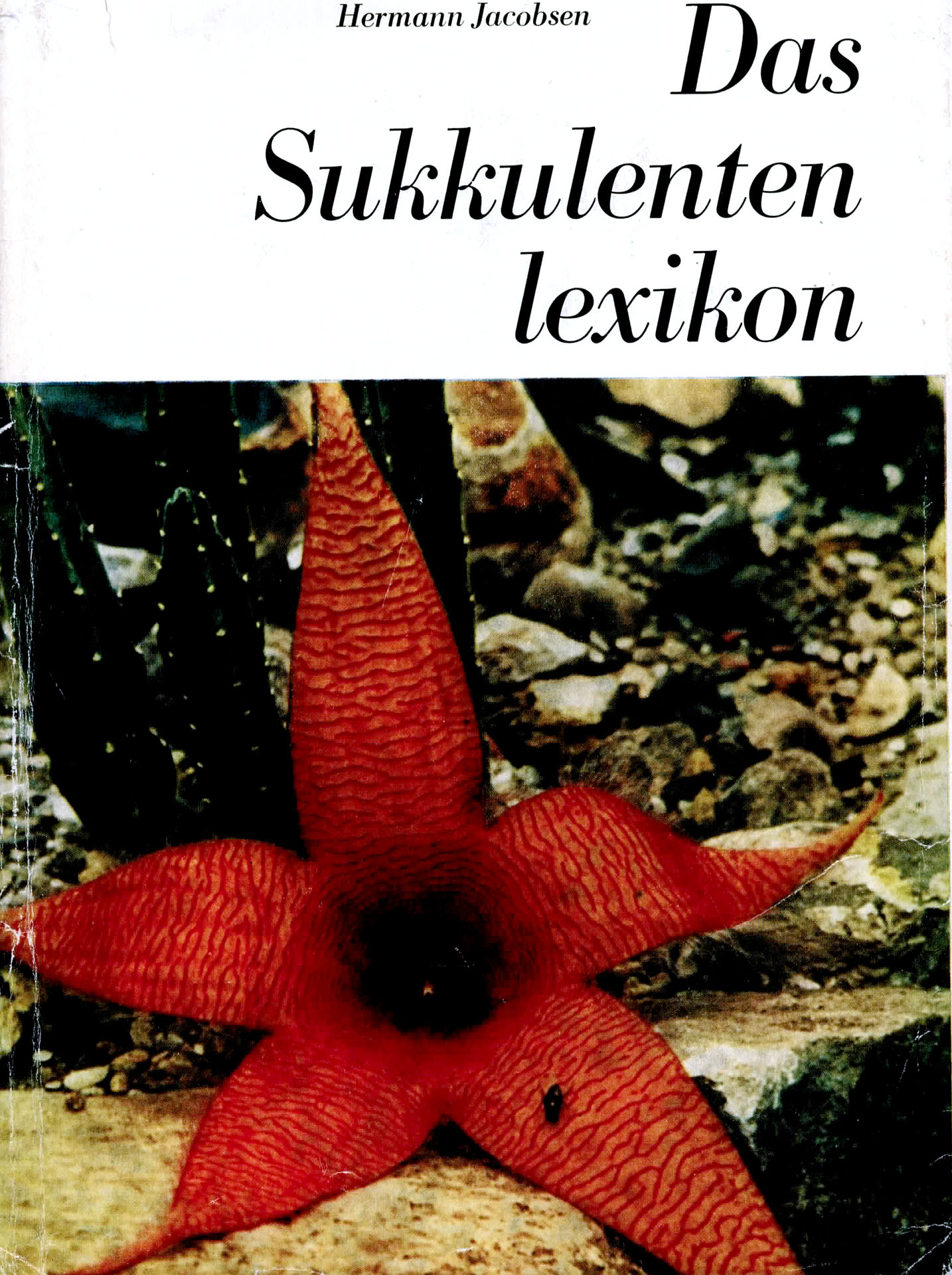Das Sukkulentenlexikon - Jacobsen, Hermann